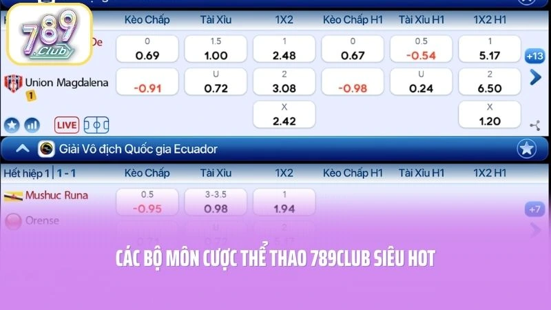 Các bộ môn cược thể thao 789CLUB siêu hot
