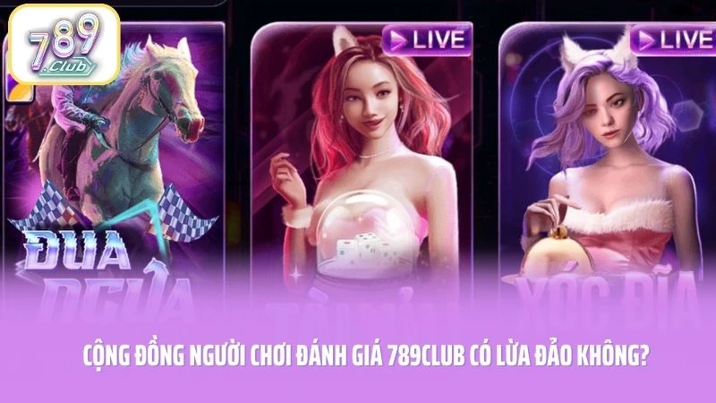 Cộng đồng người chơi đánh giá 789CLUB có lừa đảo không?