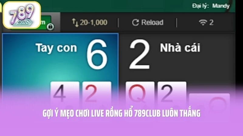 Live Rồng Hổ 789CLUB - Bí Quyết Săn Tiền Thưởng Cực Đỉnh 3 Gợi ý mẹo chơi Live Rồng Hổ 789CLUB luôn thắng