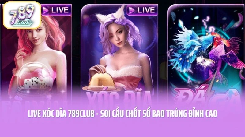 Live Xóc Dĩa 789CLUB - Soi Cầu Chốt Số Bao Trúng Đỉnh Cao