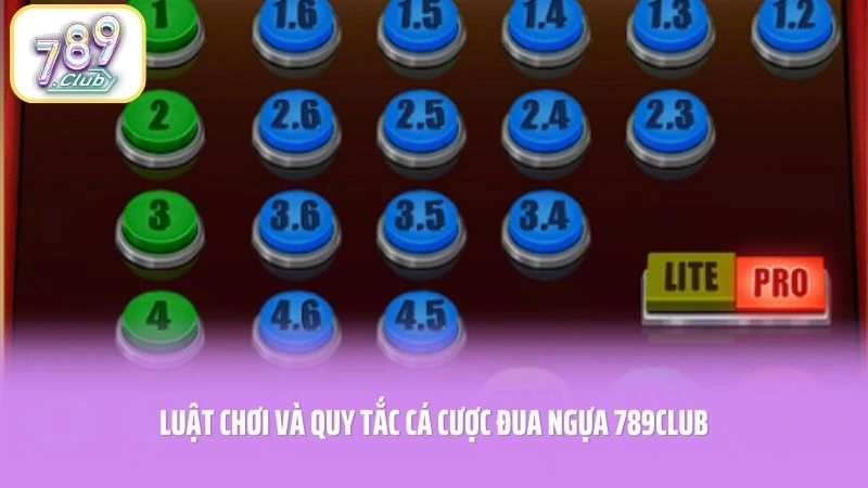 Luật chơi và quy tắc cá cược Đua Ngựa 789CLUB