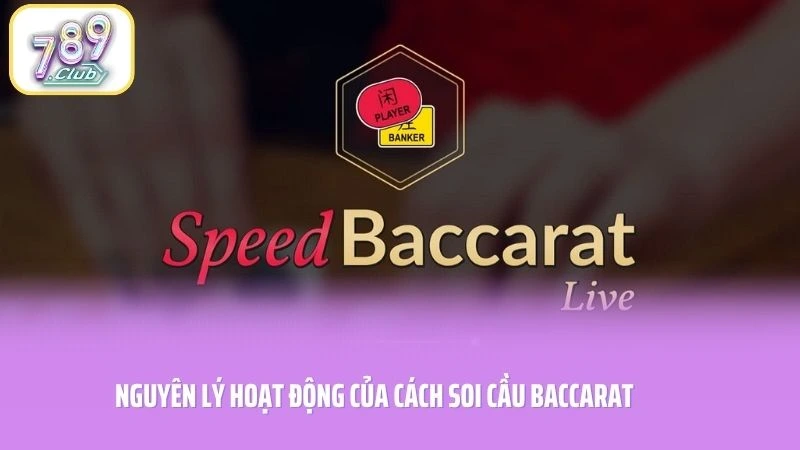 Nguyên lý hoạt động của cách soi cầu baccarat